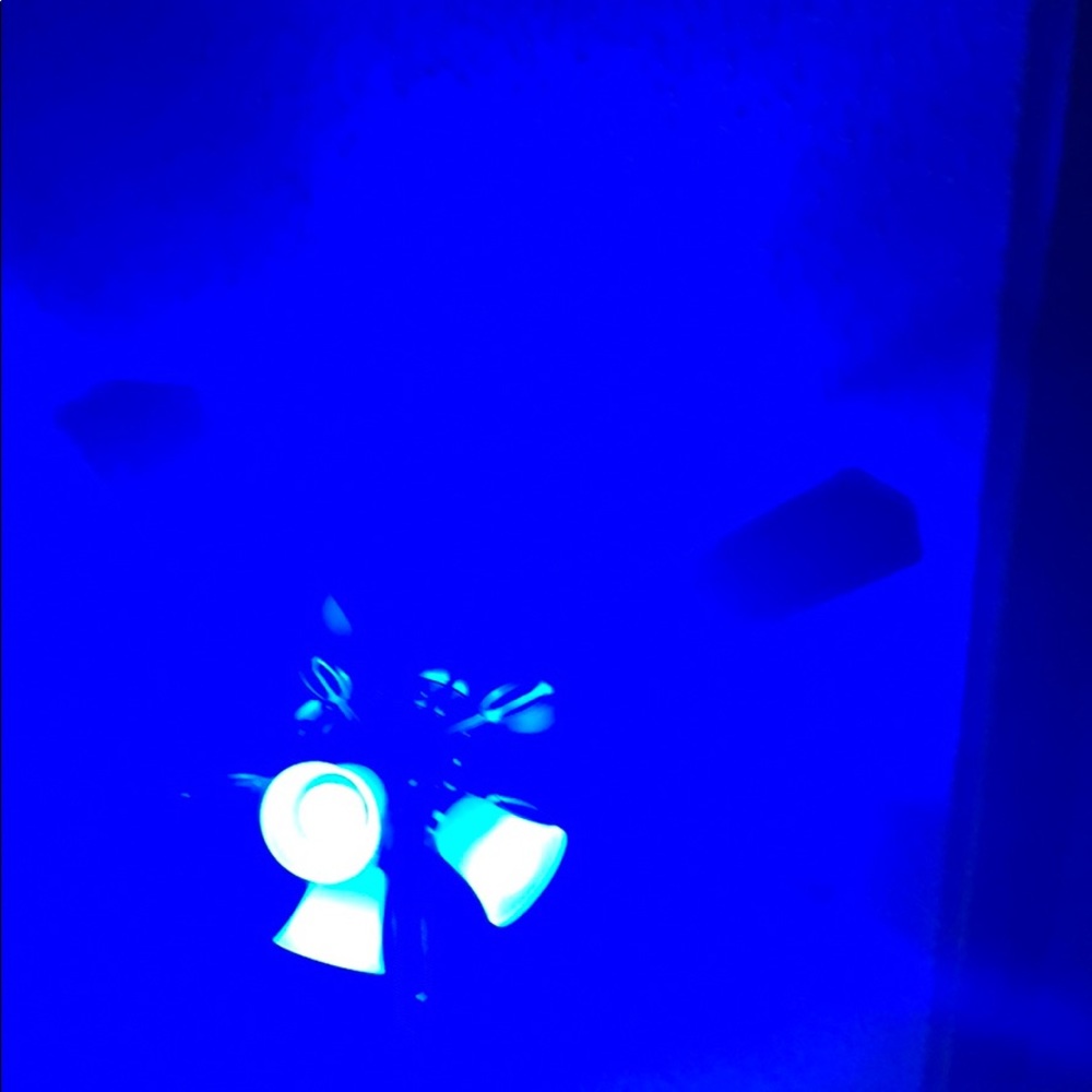 Meet your Posher, Frank